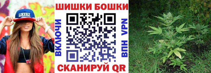 Канабис OG Kush Шилка